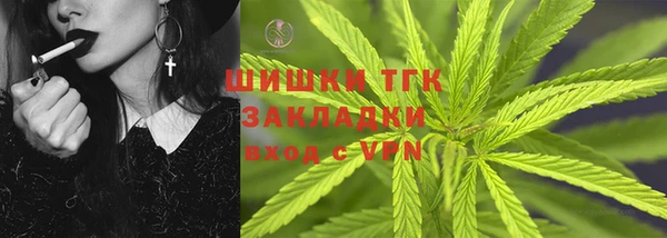 шишки Медногорск