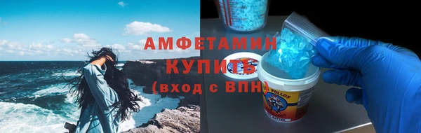 шишки Медногорск