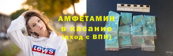 шишки Медногорск