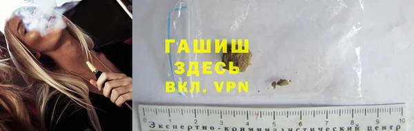 шишки Медногорск