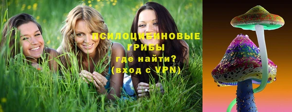 ешки Медвежьегорск