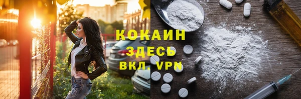 мдпв Бежецк