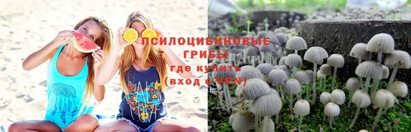 шишки Медногорск