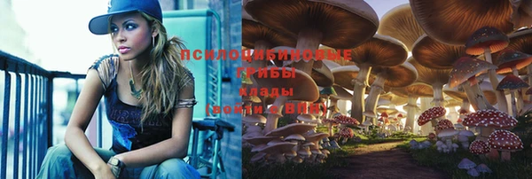 шишки Медногорск