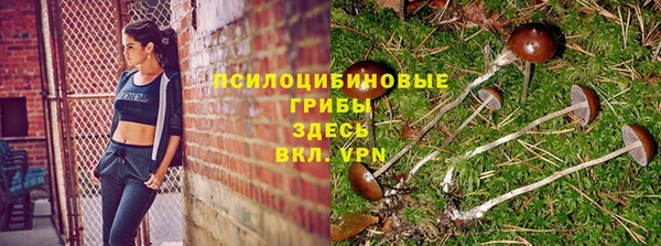 ешки Медвежьегорск