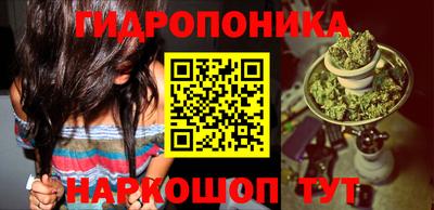 молекула духа Коммунар