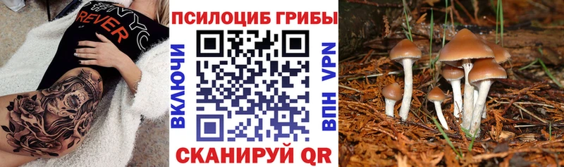 Галлюциногенные грибы прущие грибы  Самара 