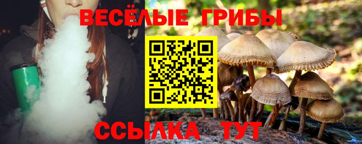 Самара  Псилоцибиновые грибы Psilocybe  Вход с VPN 