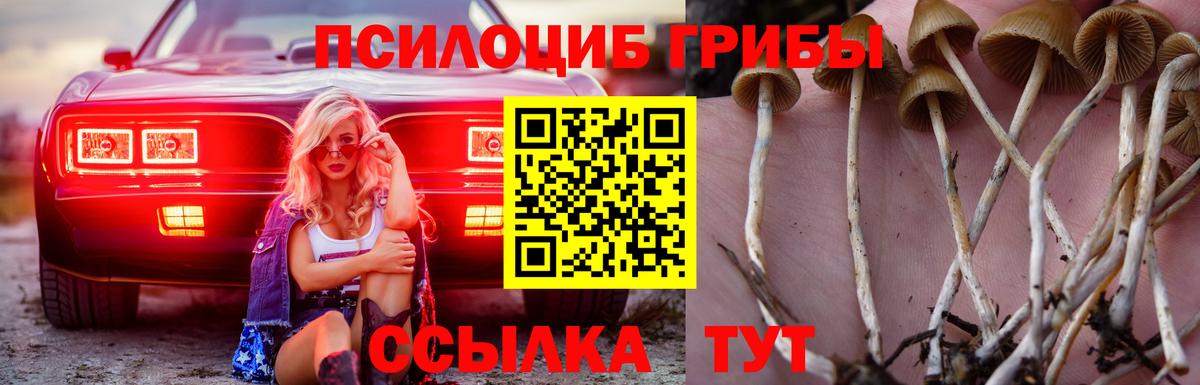 Галлюциногенные грибы Psilocybe Самара
